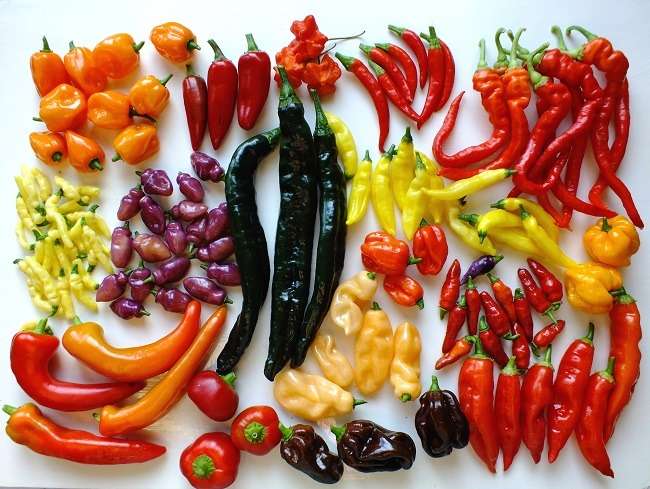 رفع تندی غذا با بهترین روش