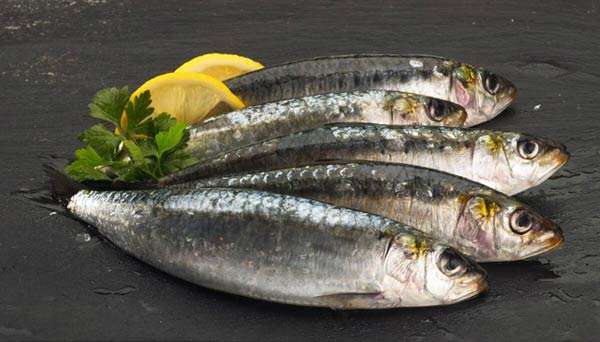 طرز تهیه خوراک ماهی ساردین