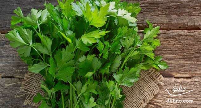 سبزی خورشت قورمه سبزی چیست