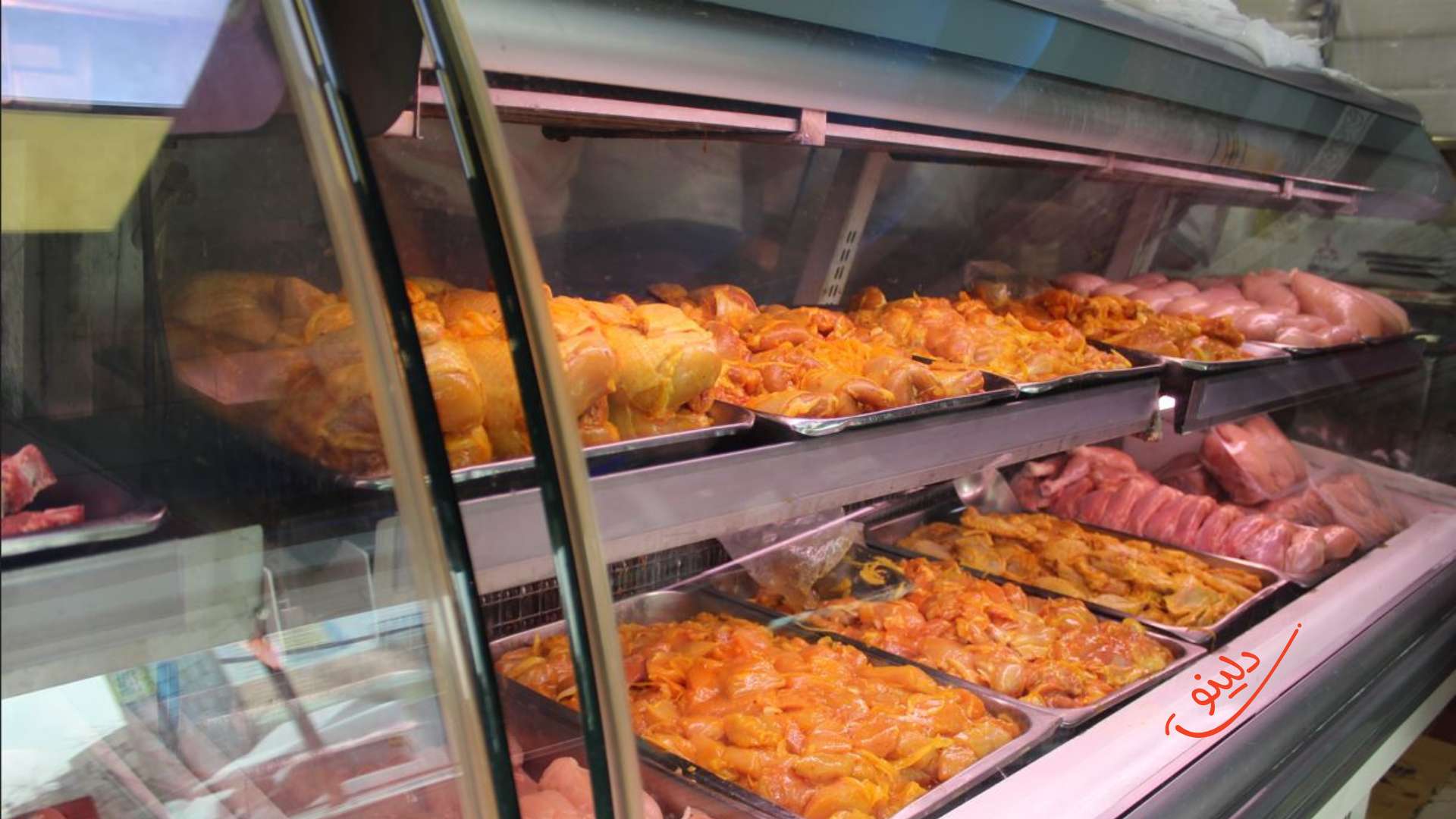 محصولات پروتیین امیر